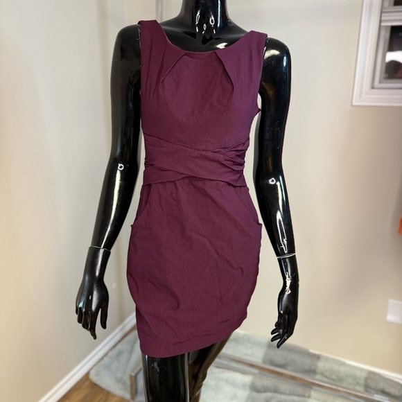 Eclipse Dresses & Skirts - Eclipse Deep Plum Ruched Mini Dress - Holiday Party Cocktail Attire